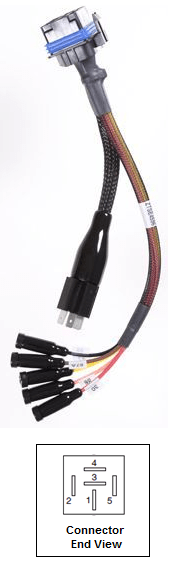 Harness, Breakout - Image 2