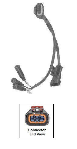 Harness, Breakout | International