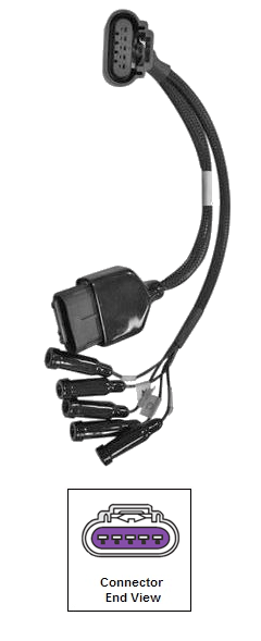 Harness, Breakout - Image 2