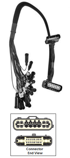 Harness, Breakout