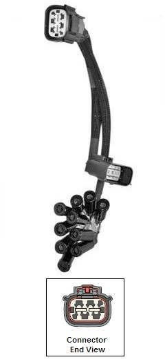 Harness, Breakout - Image 2